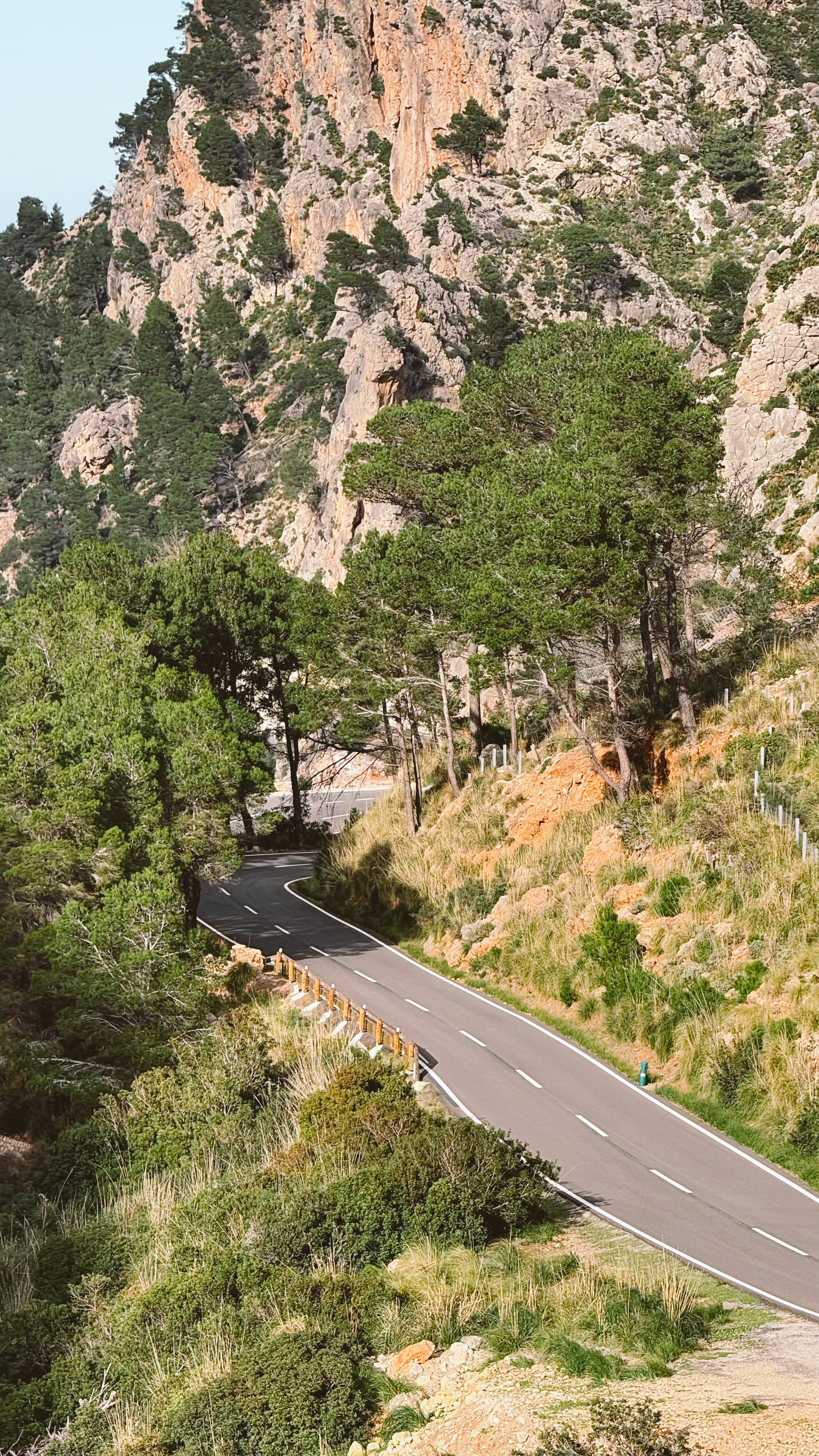 Fred's Summer Retreat