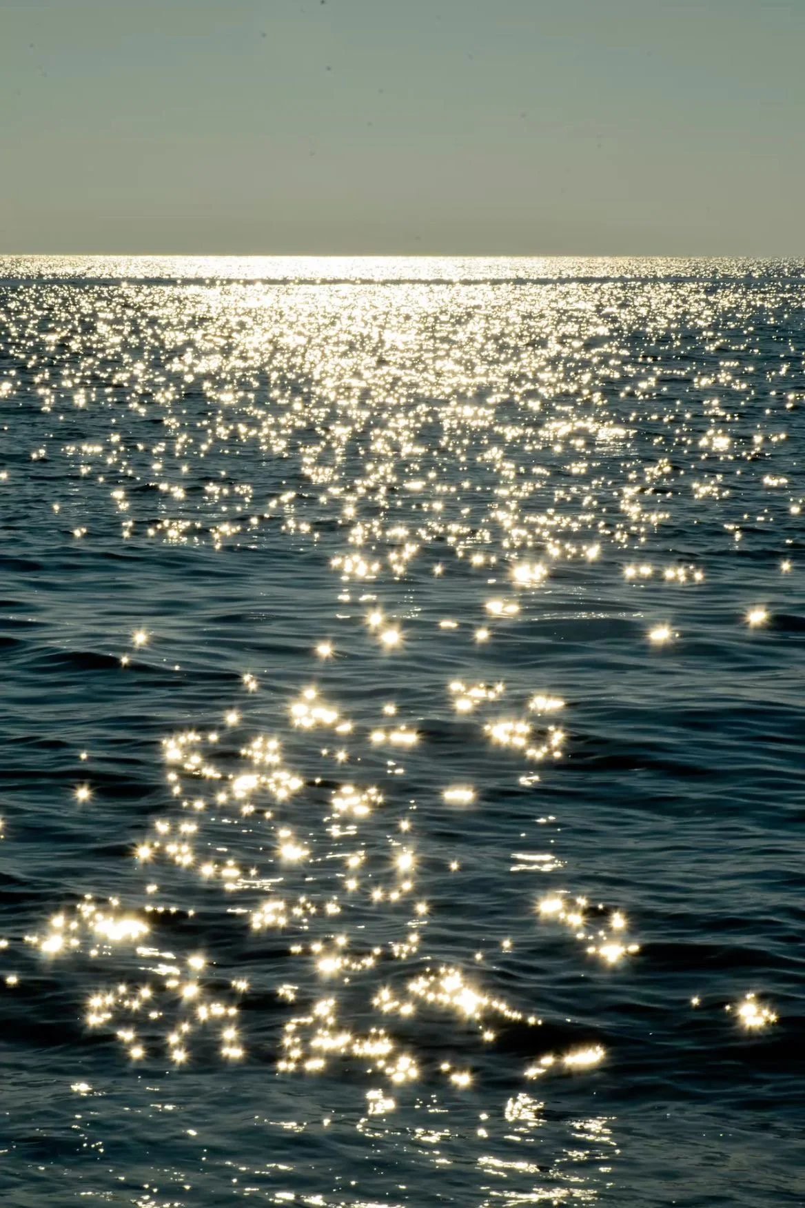 Reiki Level 1 Shoden : Self-Study