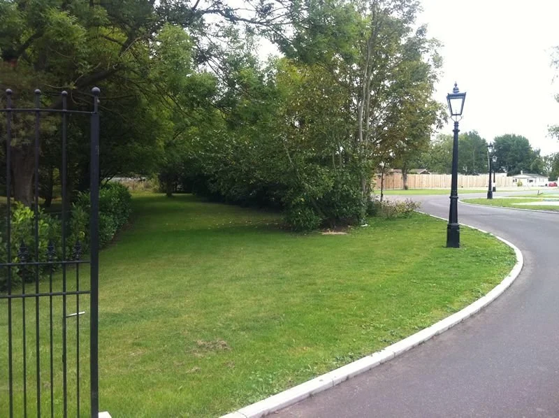 Green lawn with trees and bushes next to a sidewalk, black street lamp, and a black metal fence gate on the left.