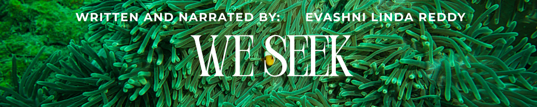 we seek.png