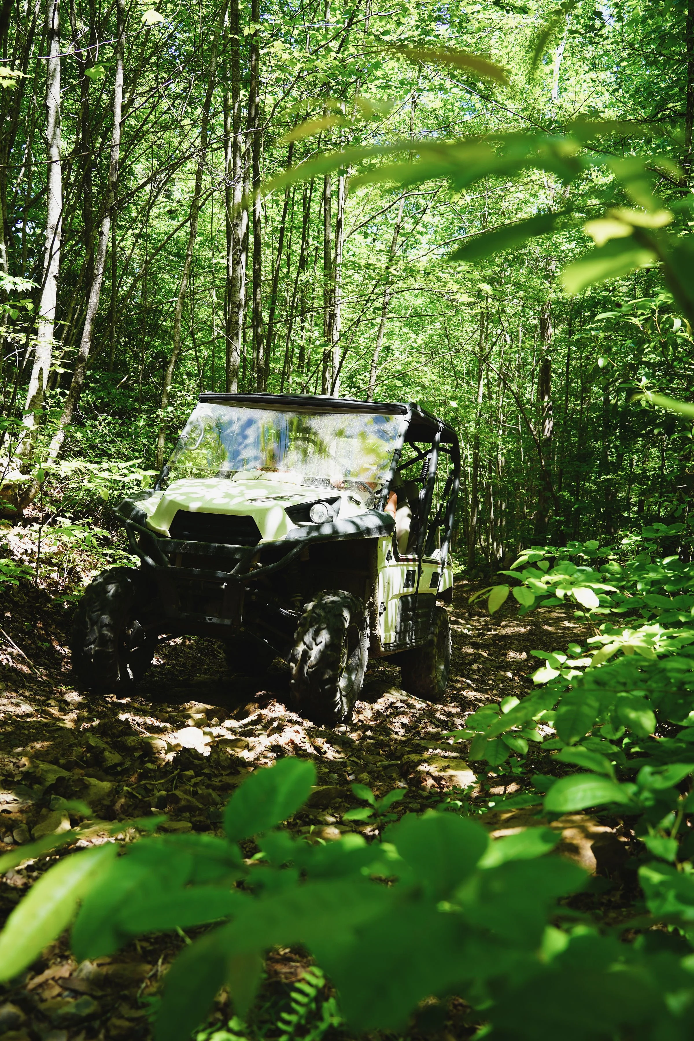 A green and black off-road vehicle driving through a dense forest trail surrounded by tall trees and lush green foliage.