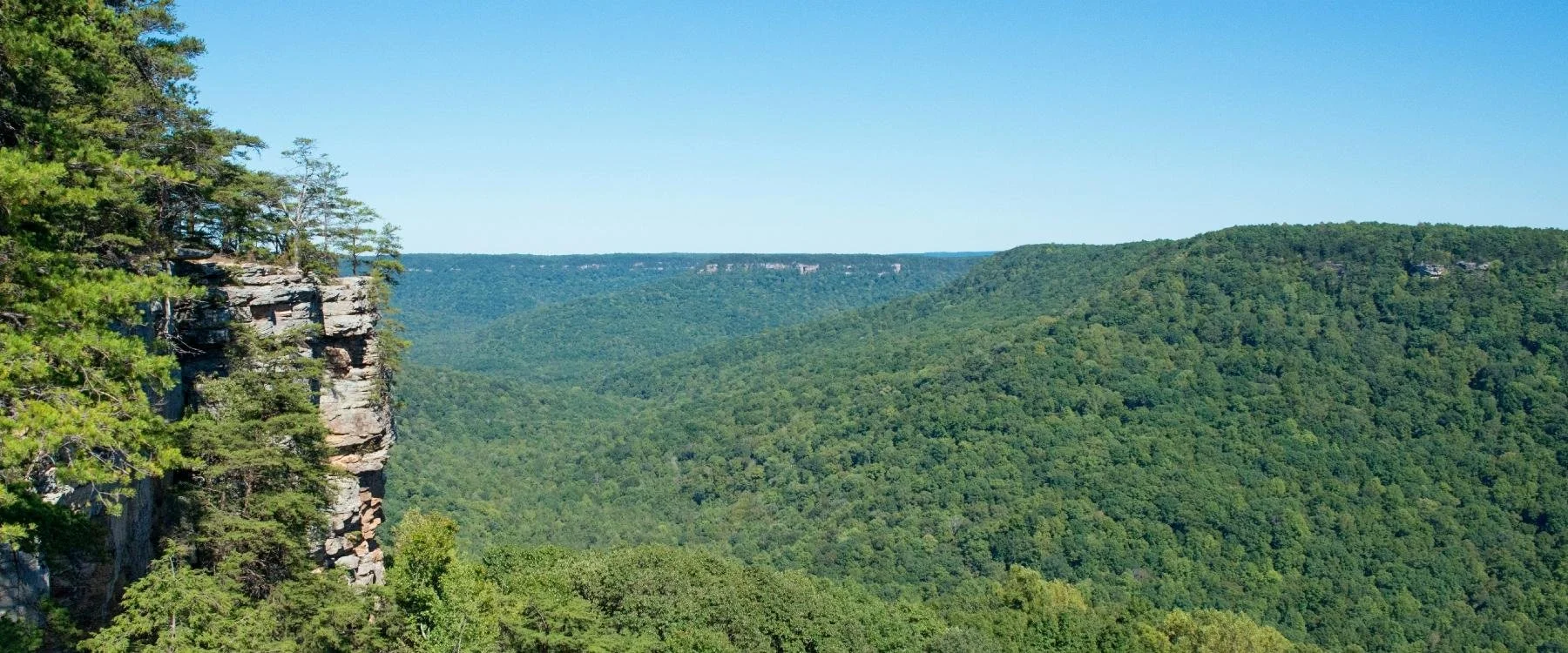 View of dense green forest covering rolling hills and cliffs under a clear blue sky.