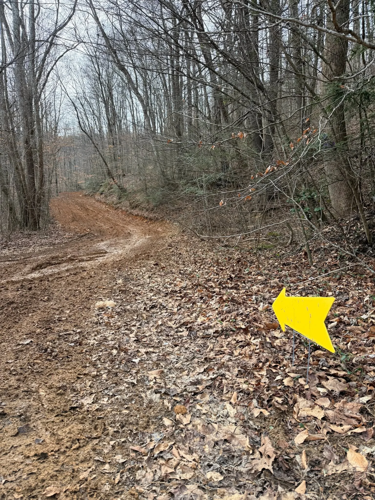 A dirt trail in a wooded area with leafless trees on either side. A yellow arrow-shaped sign is on the right side of the path, pointing to the right.