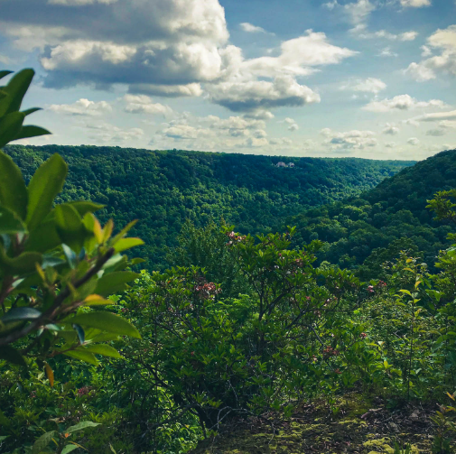 A scenic view of a lush green valley with rolling hills, dense forest, and a cloudy sky overhead.