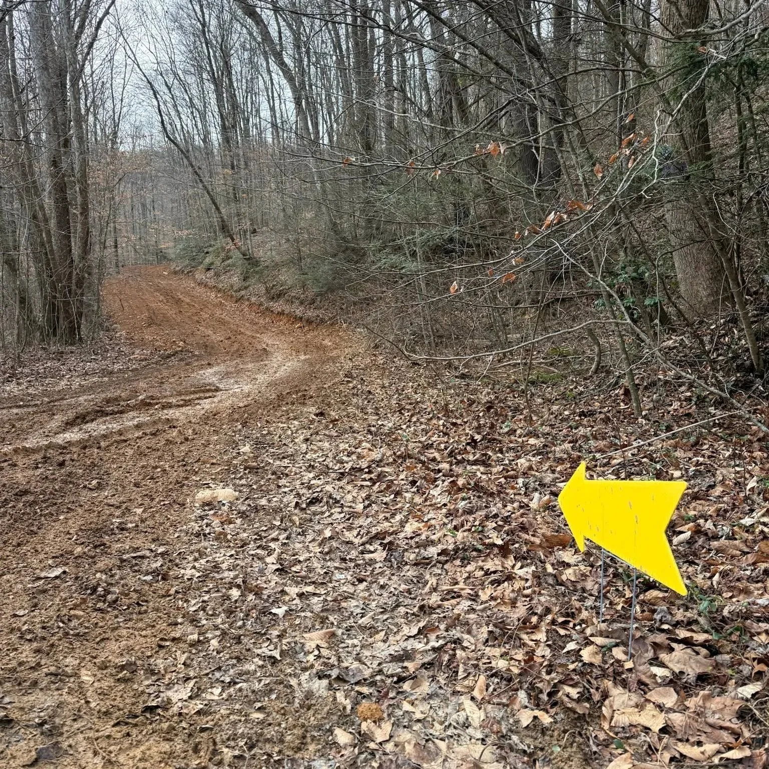 A dirt trail winding through a leaf-covered forest with bare trees and a yellow arrow sign pointing left in the foreground.
