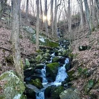 A rocky forest creek flowing through a wooded area during winter or early spring, with bare trees and some patches of snow on the ground.