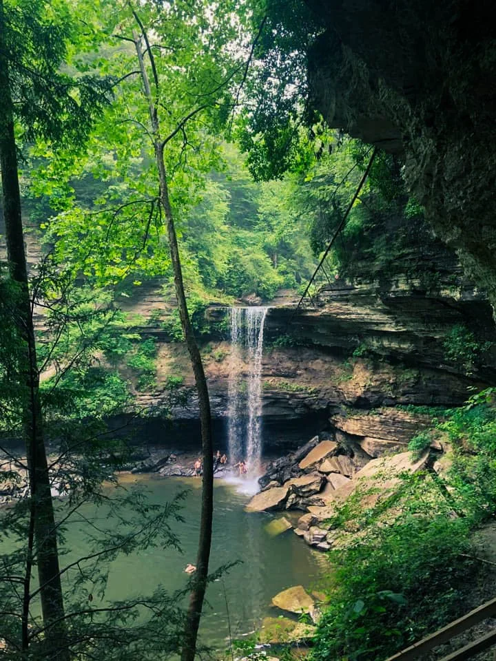A small waterfall cascading into a pool surrounded by rocks and lush green trees in a dense forest.