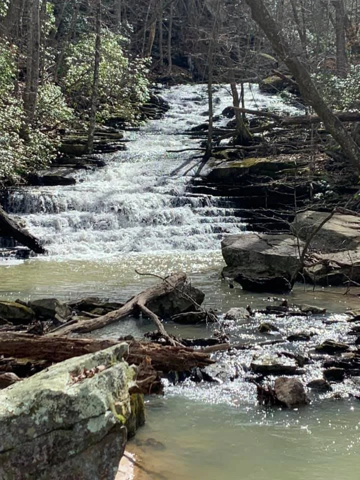 A small waterfall flowing over rocks in a wooded area with trees and bushes surrounding it.