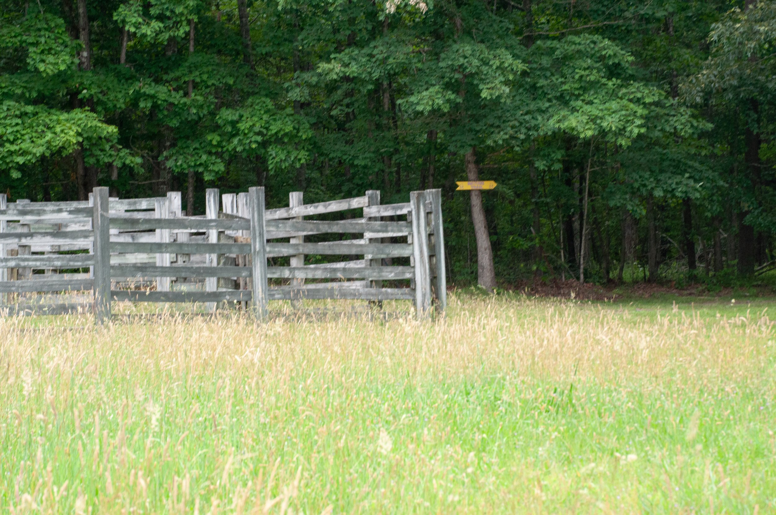A wooden fence partially surrounds a grassy field with trees in the background, and a yellow sign attached to a tree.