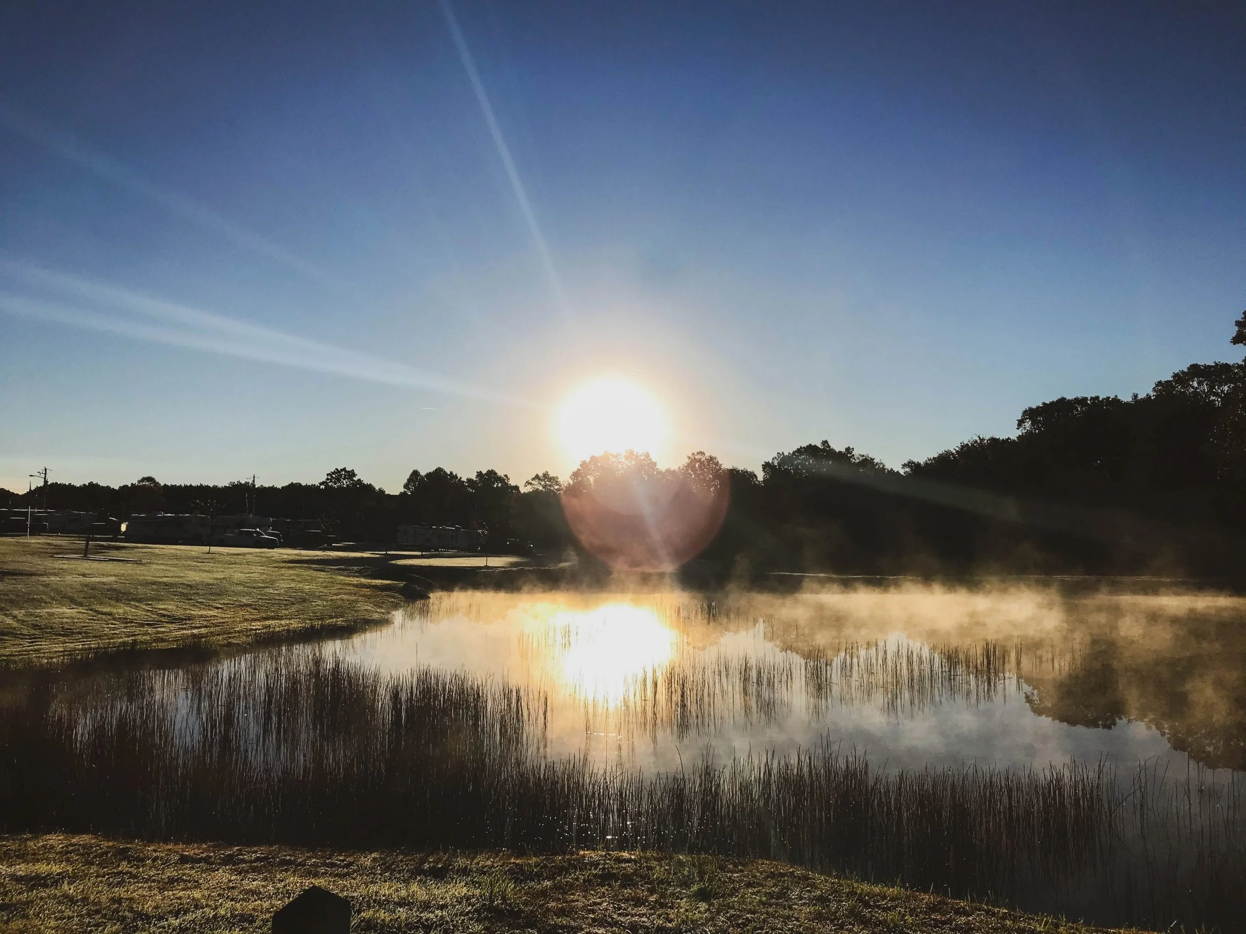 Sunrise over a foggy pond with tall grasses, trees, and a parking lot in the background.