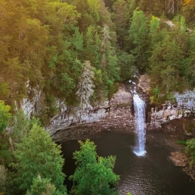 A waterfall flowing into a dark pool surrounded by lush green trees in a forest.