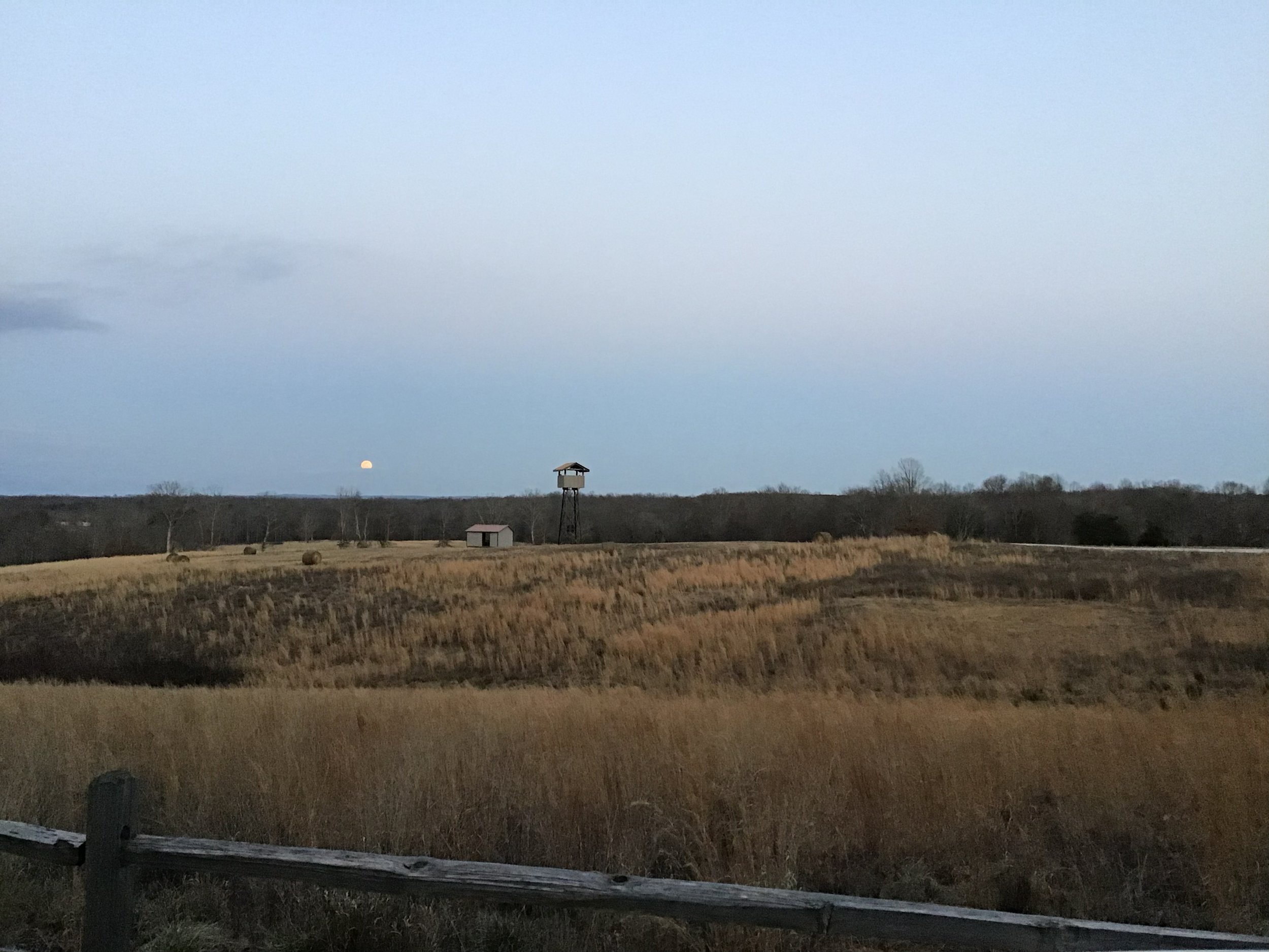 A rural landscape during dusk with the moon rising above the horizon, a small shed, a water tower, and trees in the background, with a grassy field in the foreground.