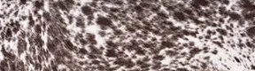Close-up of a patterned surface with dark spots on a light background.