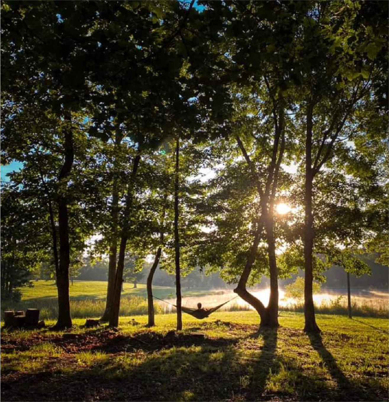 Person relaxing in a hammock tied between two trees in a park during sunrise, with mist over a body of water in the background and lush green grass and trees surrounding.