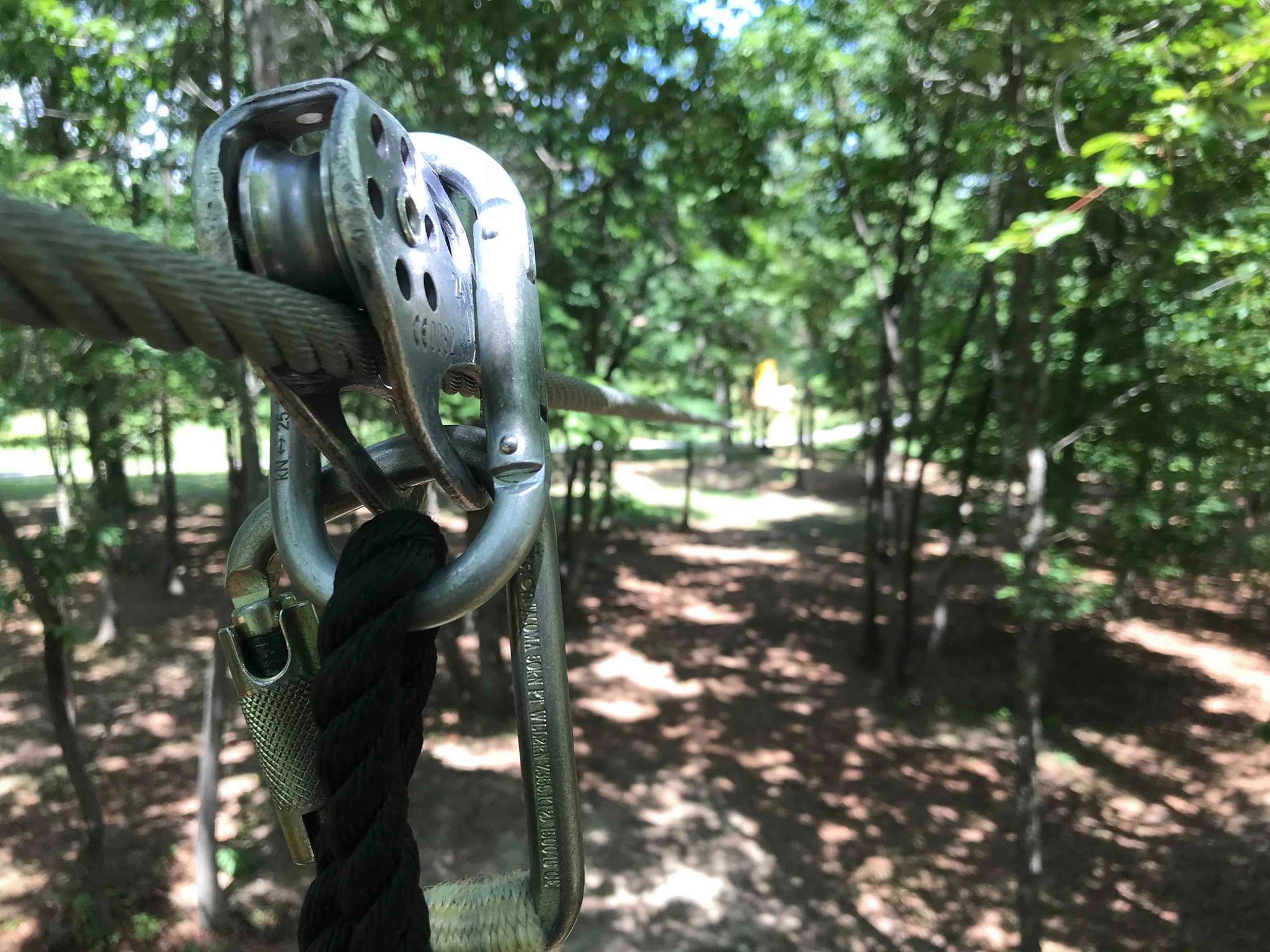 A close-up of a climbing rope attached to a metal carabiner and pulley system, with a forest in the background.