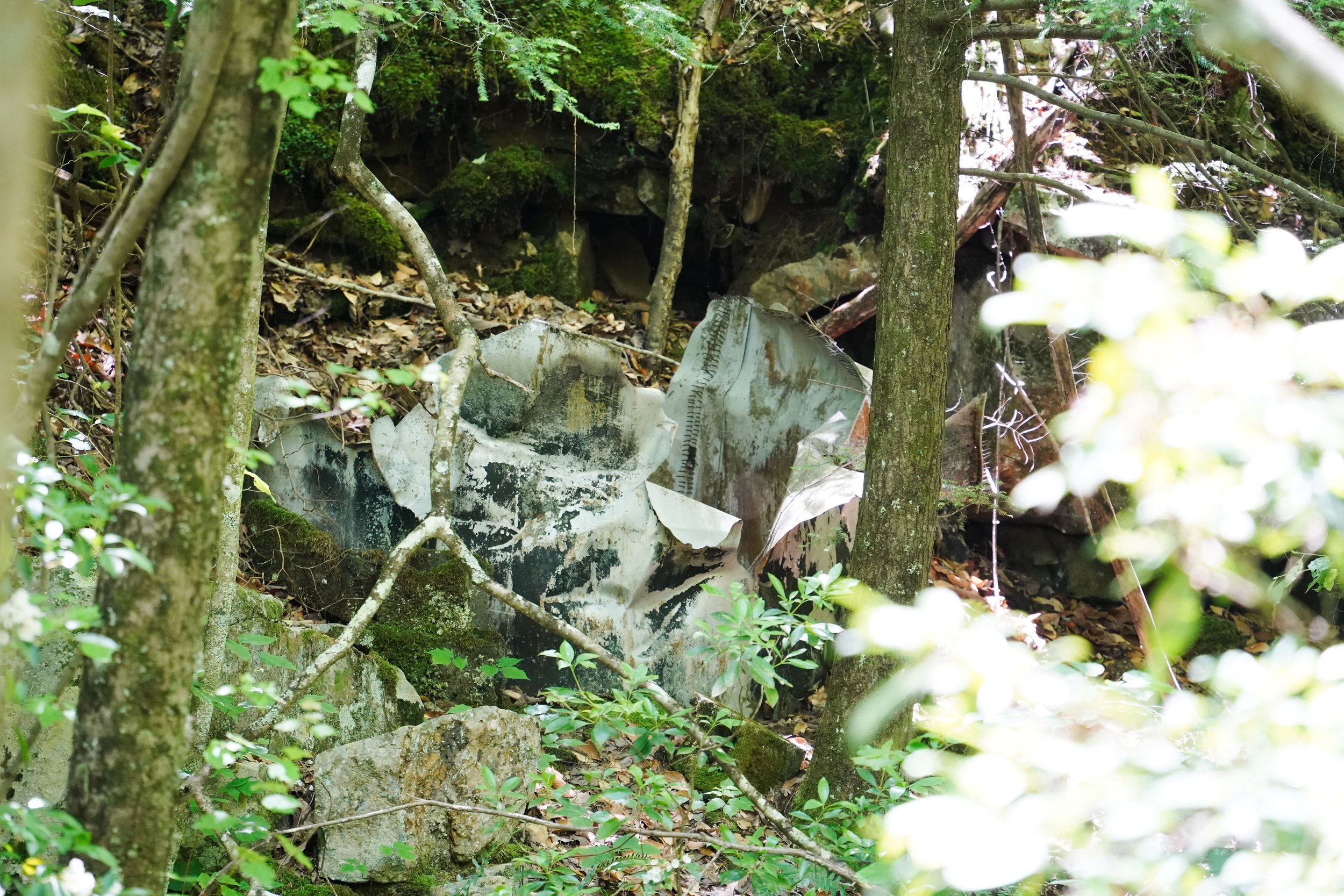 Debris of an aircraft fuselage partially covered by trees and foliage in a forested area.
