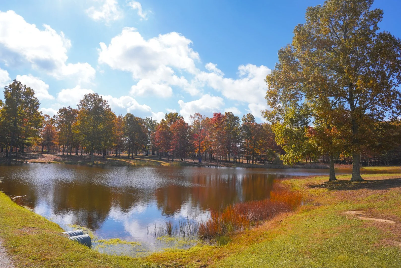 A peaceful autumn scene at a park with a pond, surrounded by trees with colorful fall foliage, under a partly cloudy blue sky.