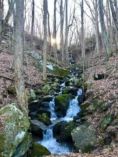 A small waterfall cascading over moss-covered rocks in a forest with leafless trees and a hint of snow, sunlight filtering through the trees.