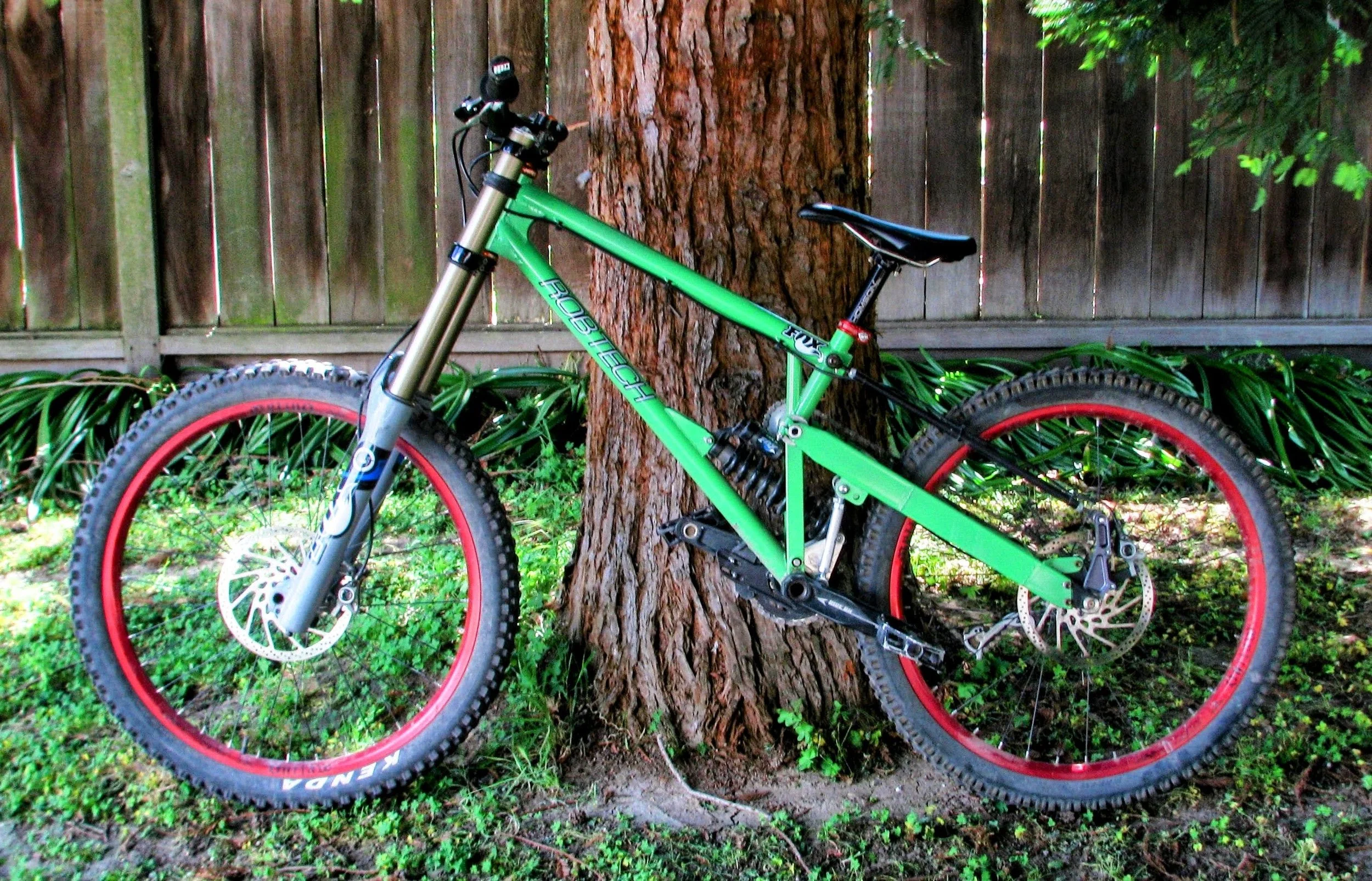 A green mountain bike with red rims leaning against a tree in a backyard, with a wooden fence and green plants in the background.