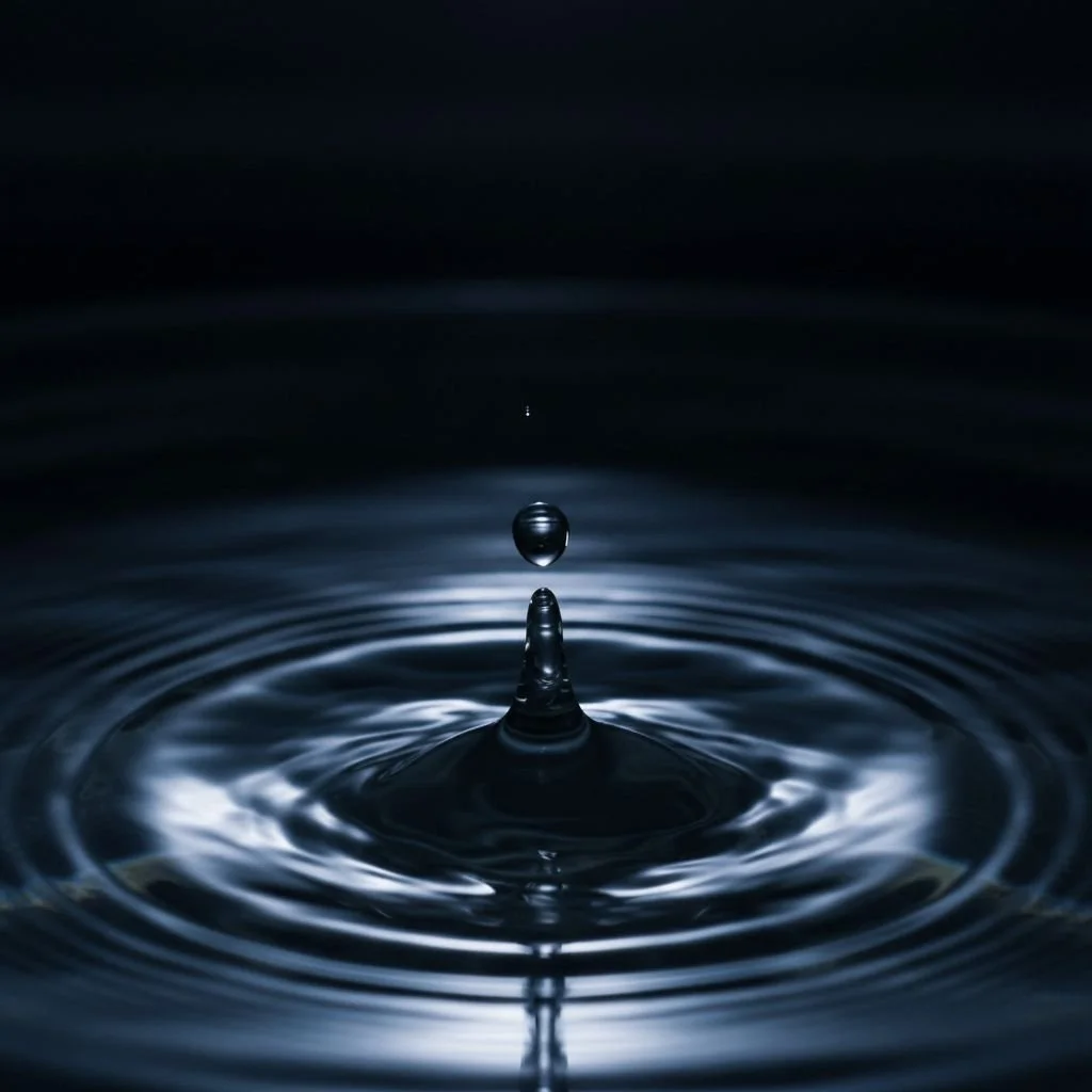 Toxisch! Narzissmus als Zeitgeistphänomen