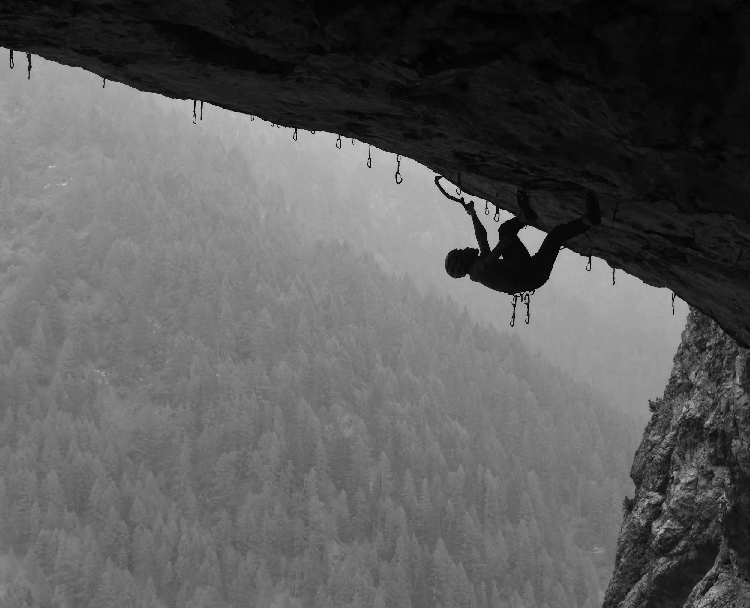 A person rock climbing an overhanging cliff, with a foggy forest in the background.