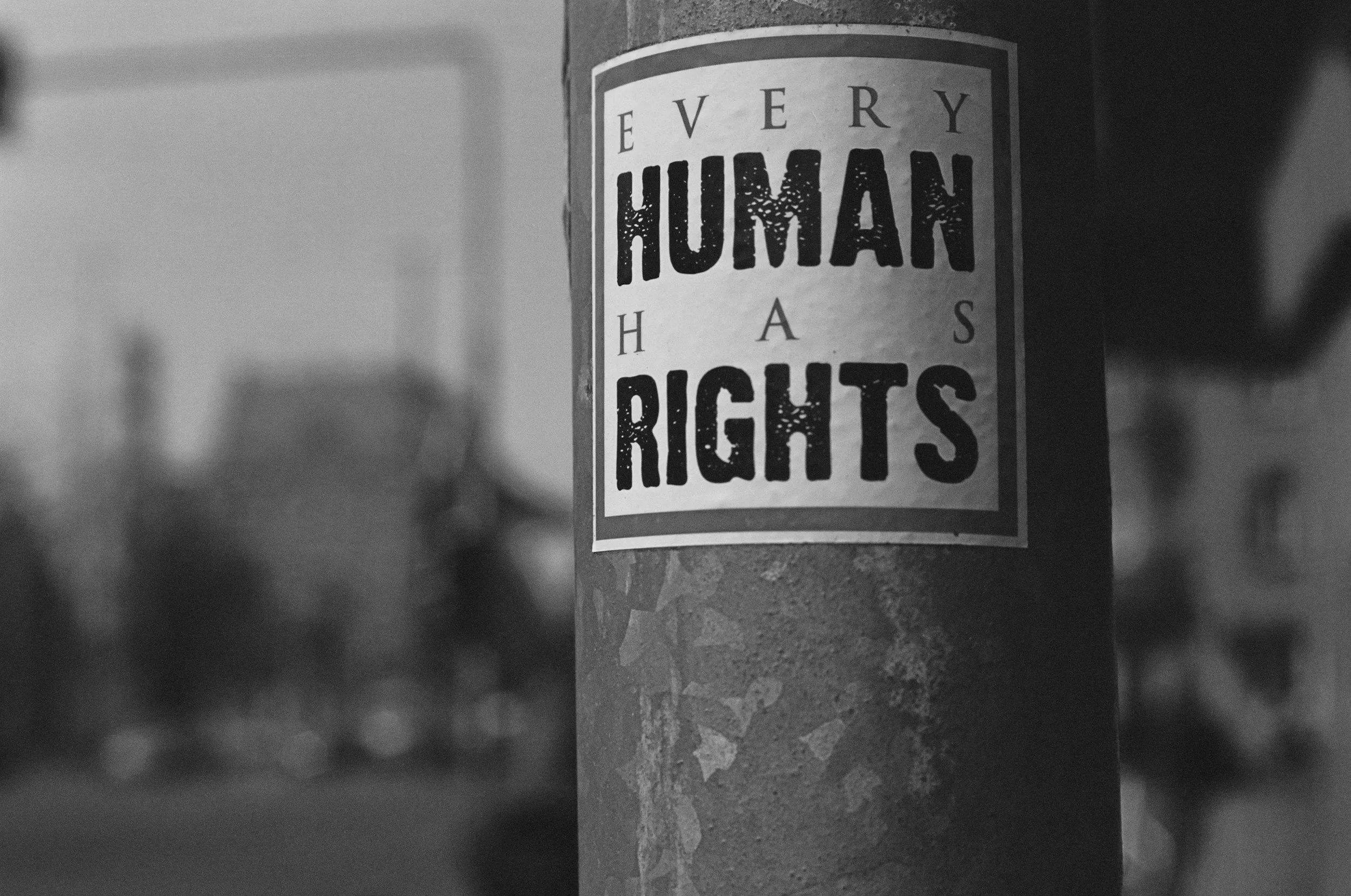 A sticker on a pole with the message 'Every human has rights' in black bold letters on a white background.
