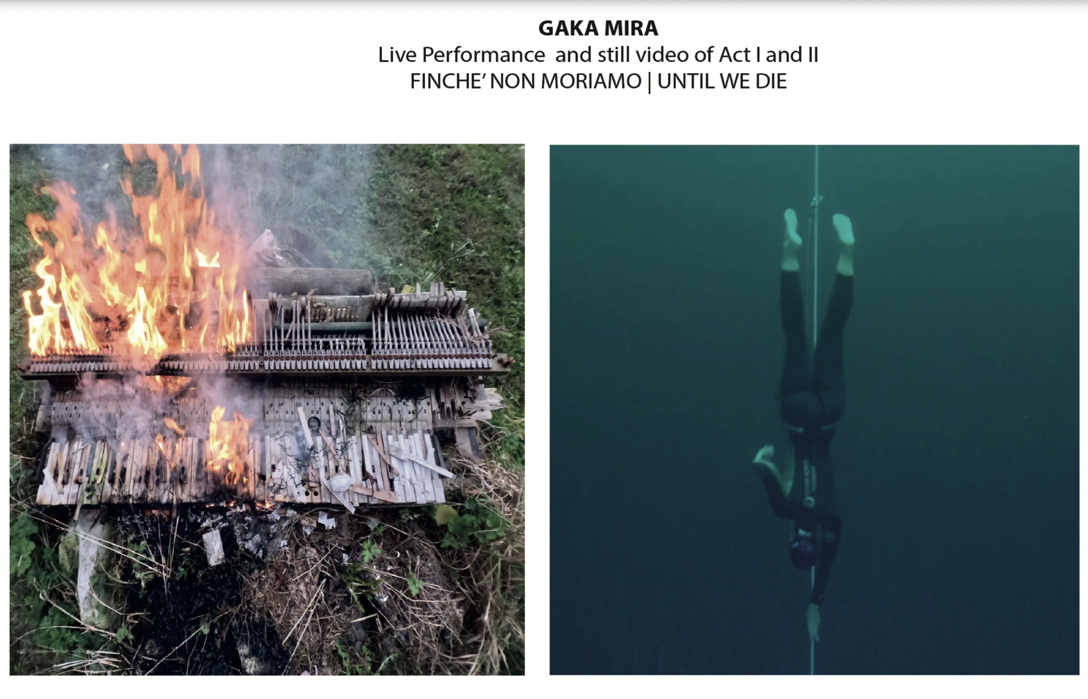 Performance / Video Art