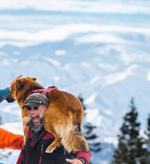 Hiker in winter gear standing next to a snow-covered hut in a snowy forest.