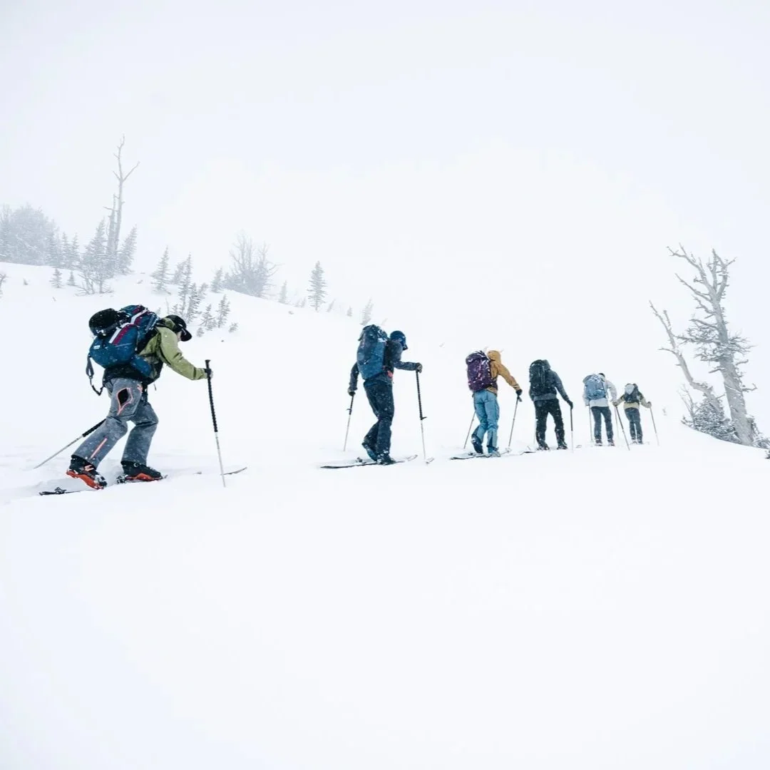 uphill trillium.webp