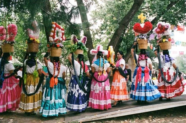 IMG_0310 2 Medium.jpeg