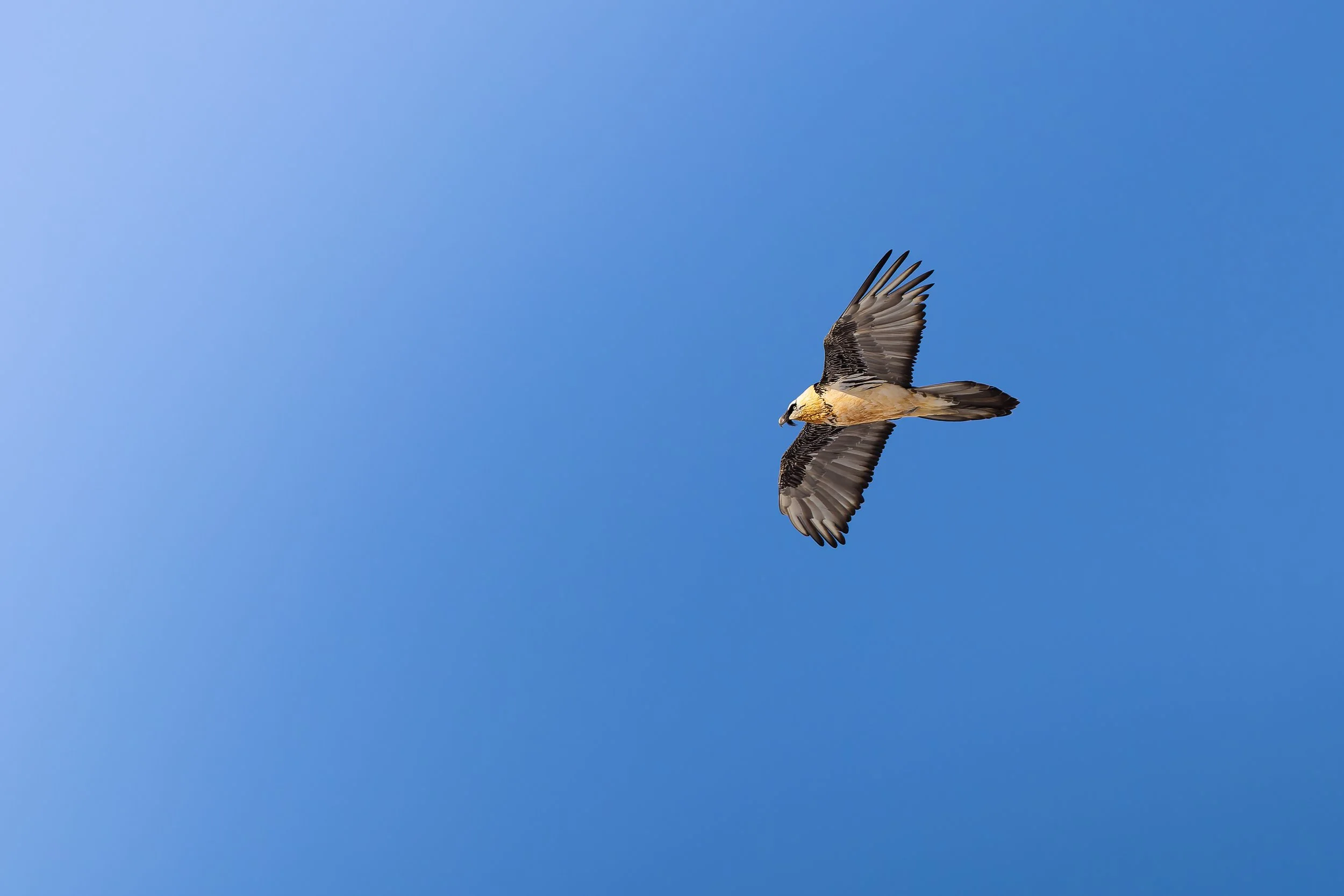 20230626-021A8207-2.jpg