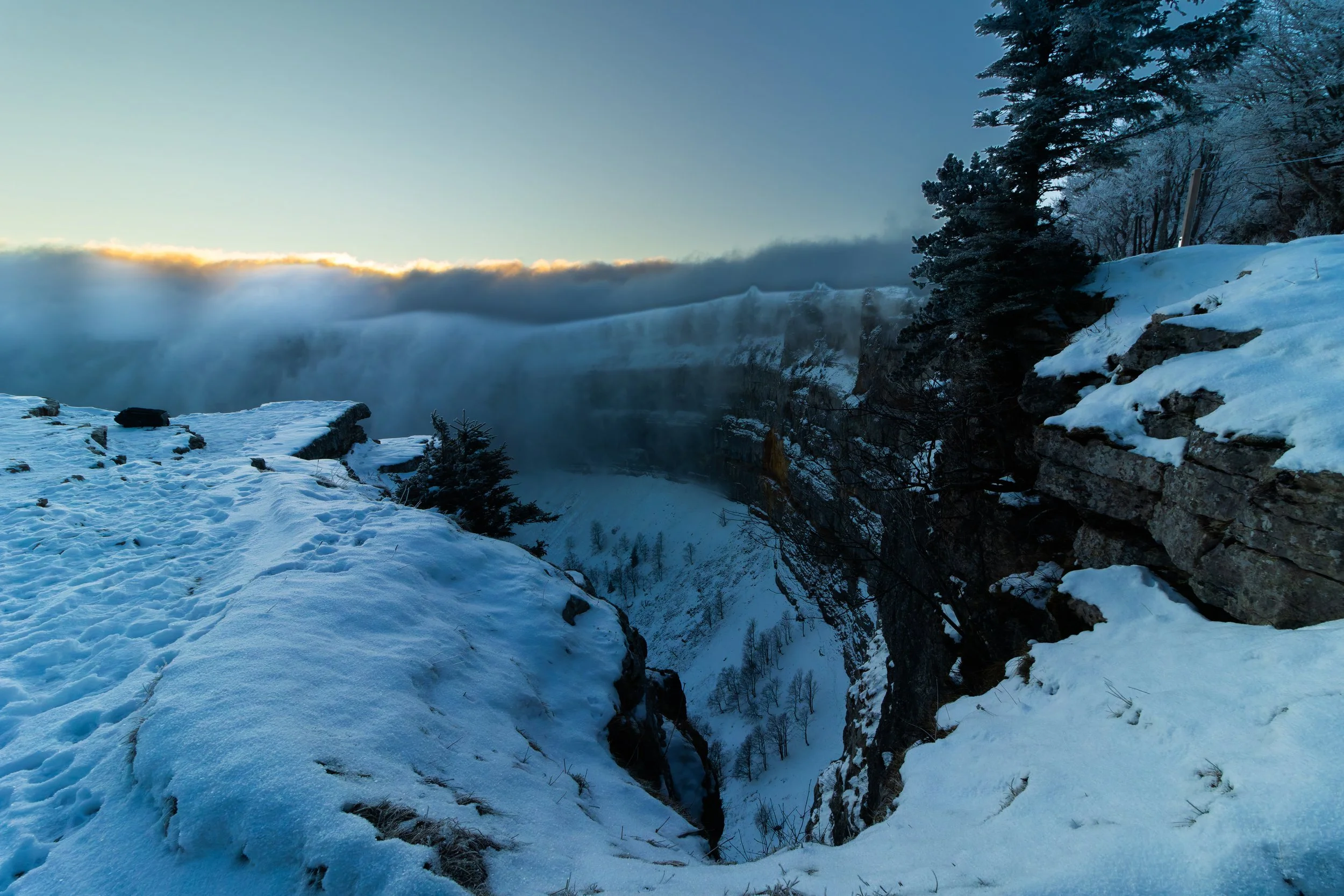 20260107-_P8A5819-2.jpg