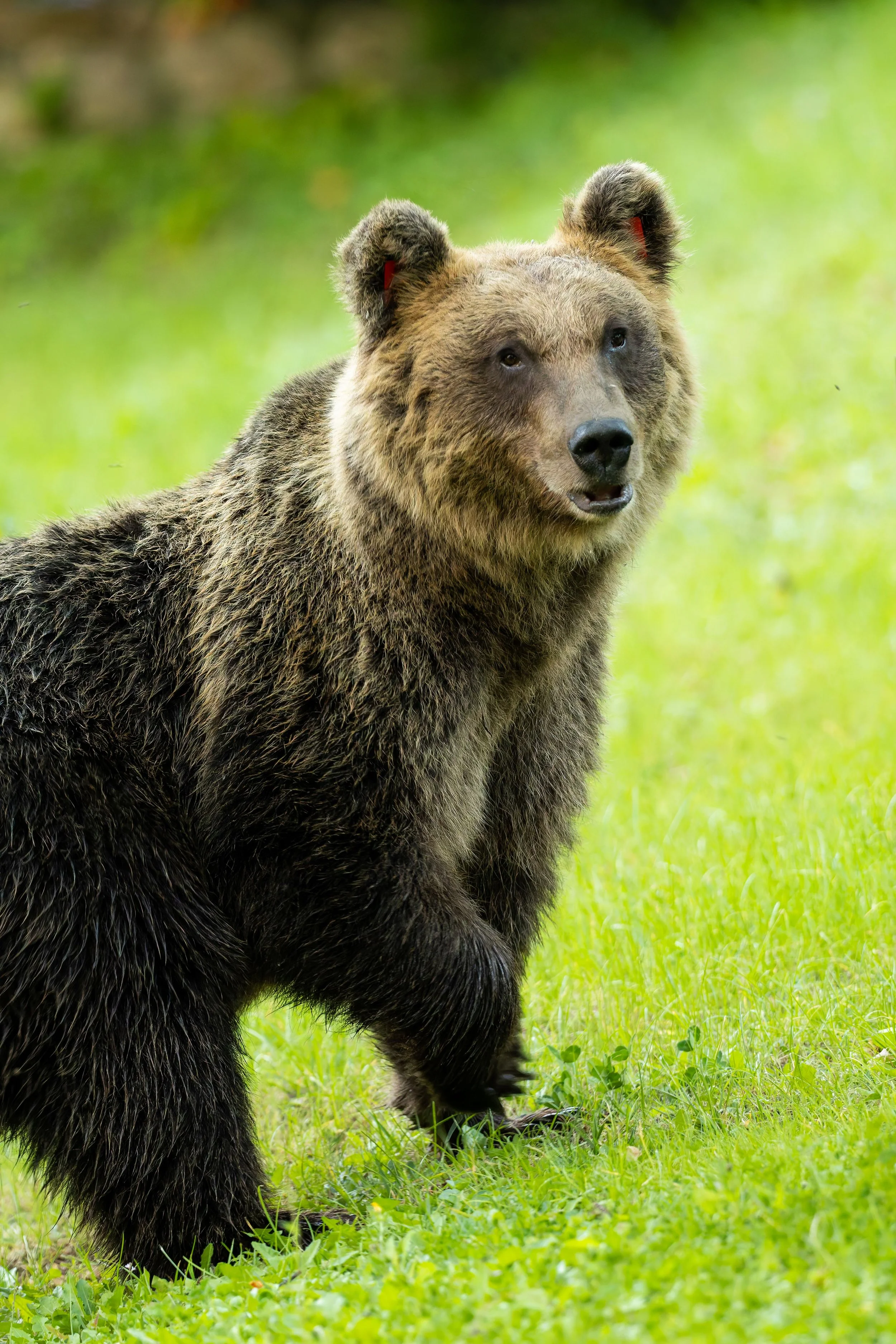 20240927-_P8A9176-CR3-2.jpg