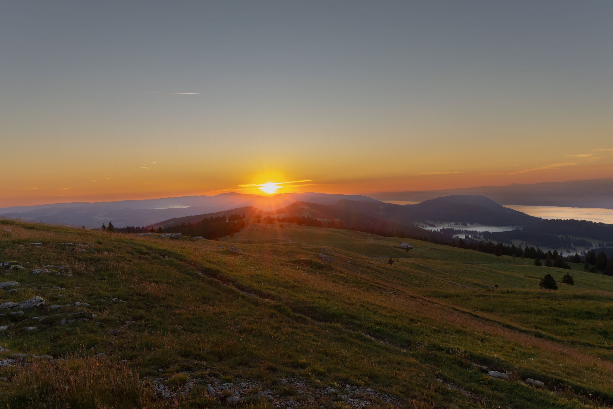 20240709-_P8A7634-CR3-2-2.jpg