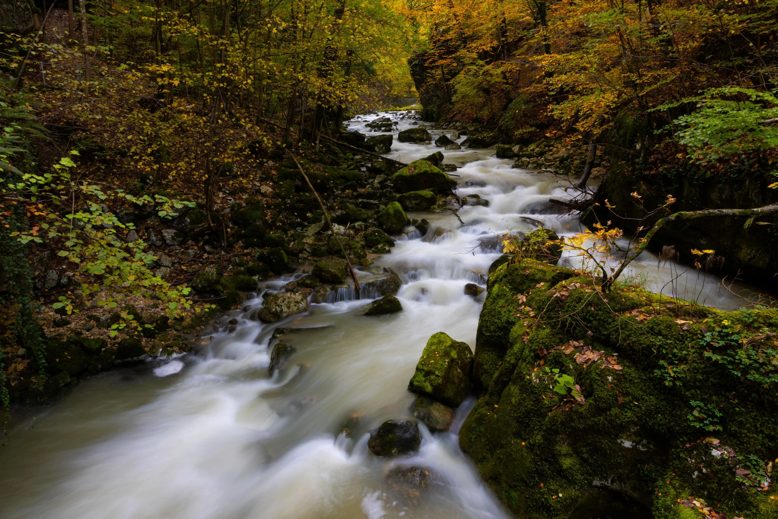 _P8A5488-3.jpg