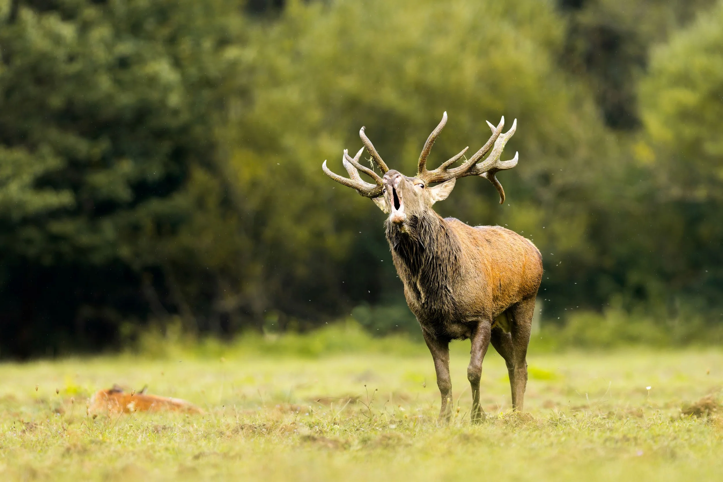 Abruzzen Italien