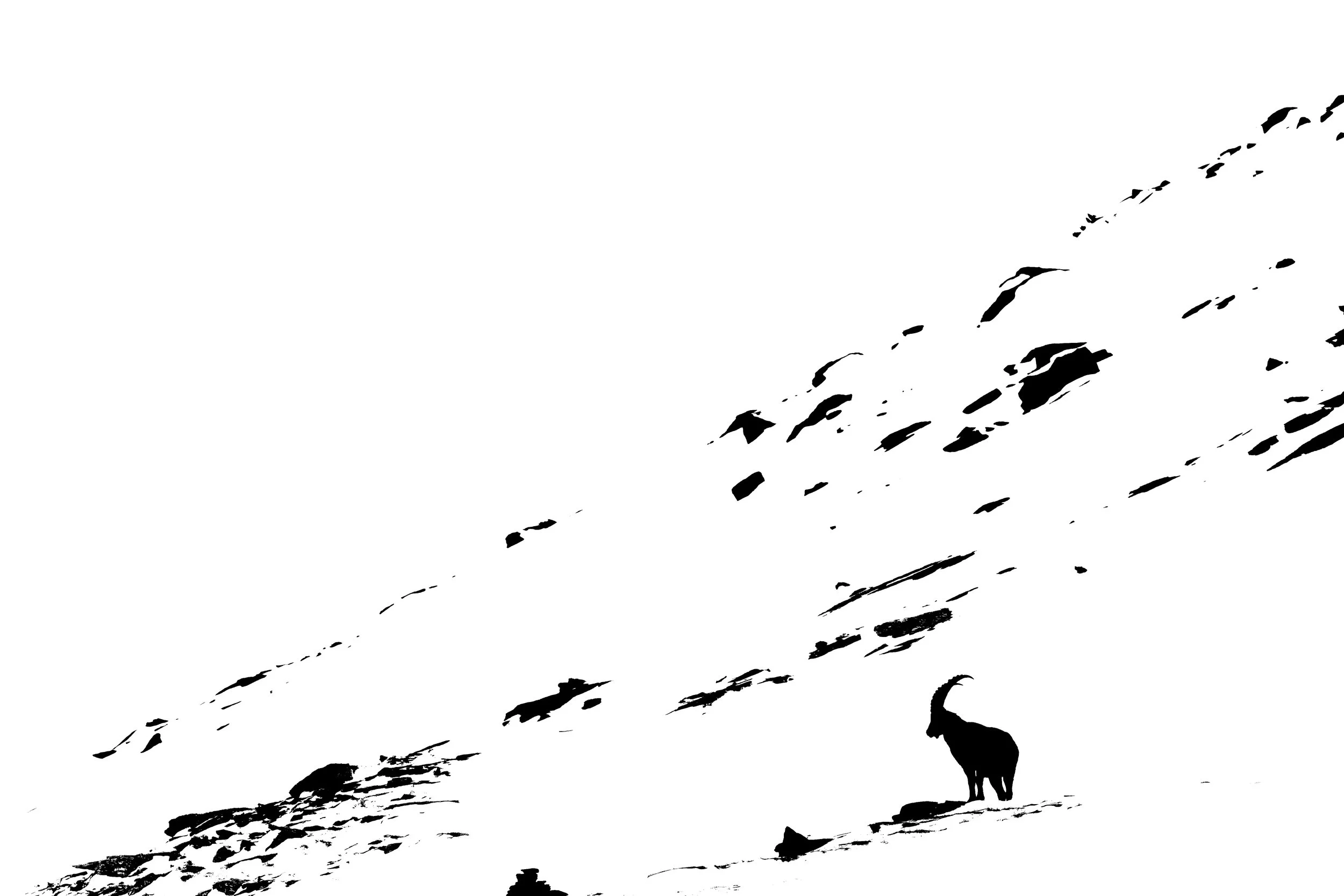 20250105-_P8A1760-2.jpg