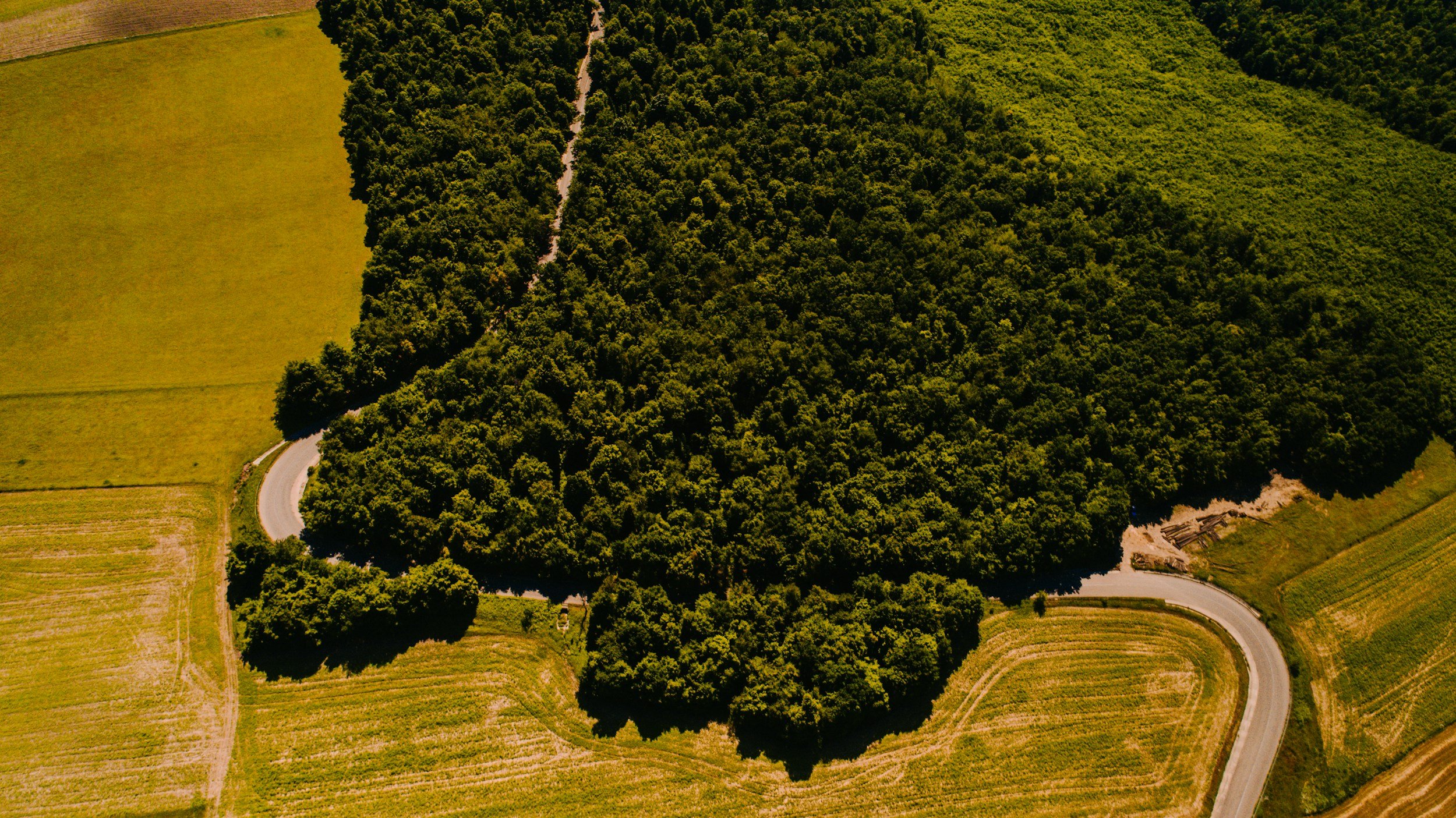 Landscape wide metrics, forest stands