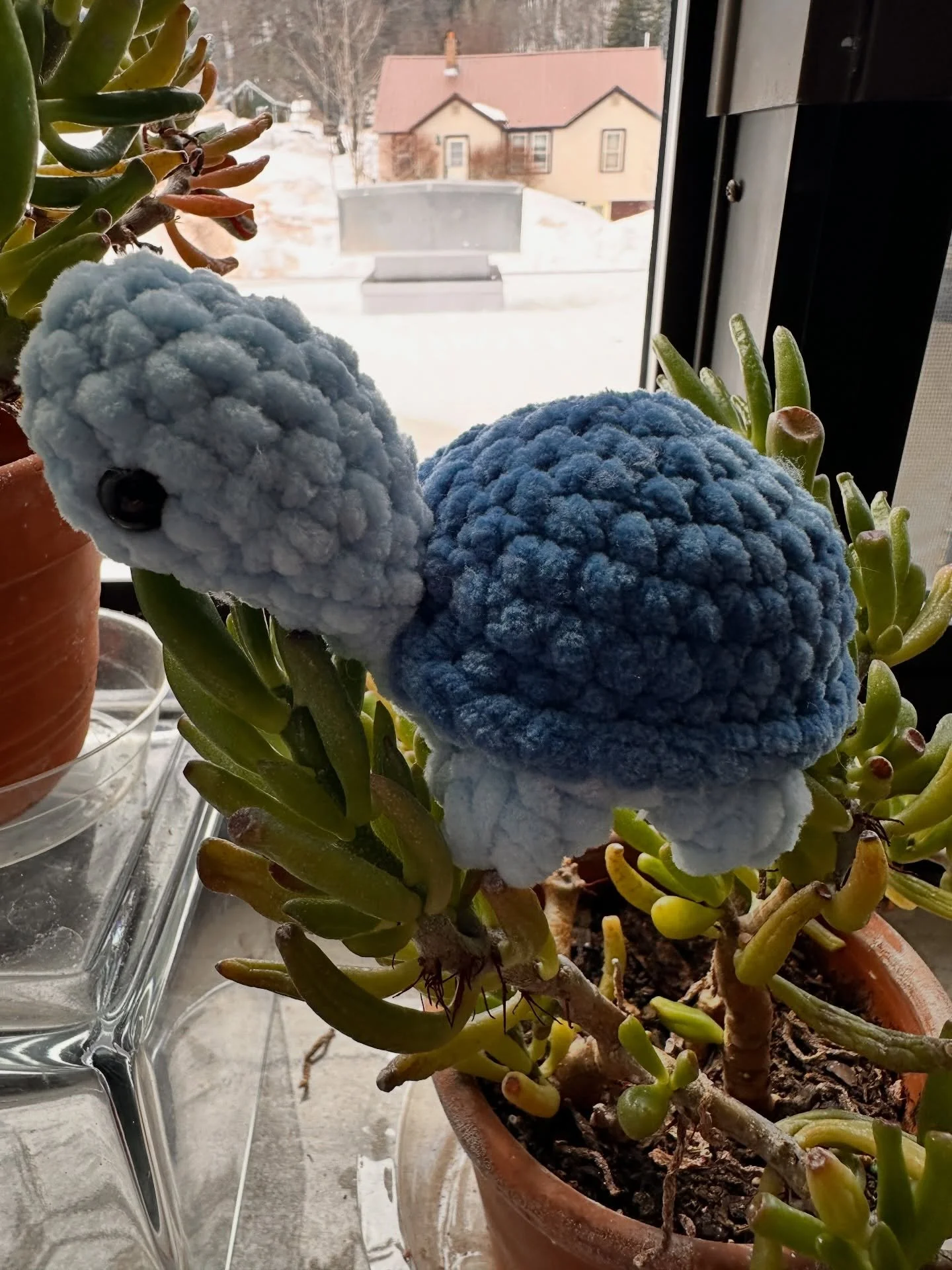 Been gatekeeping this cute turtle because I had to give it as a birthday gift, but now I can share!! Absolutely obsessed with this little cutie and they&rsquo;re so easy to whip up!! 
#crochet #turtle #amigurumi #handmade #love

Pattern by @stitchedb