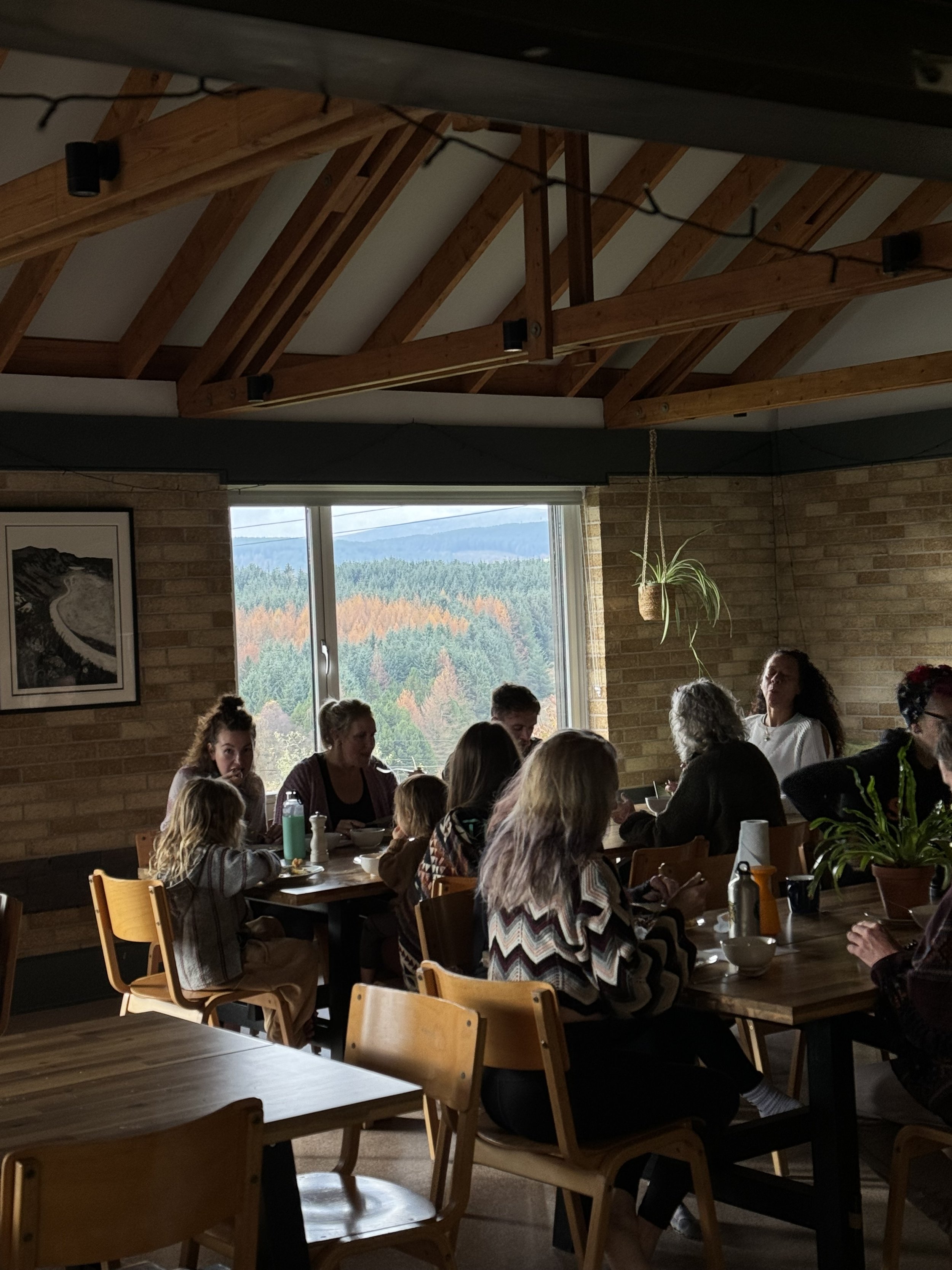 People dining at a restaurant table with a window showing a forested landscape with mountains in the background.