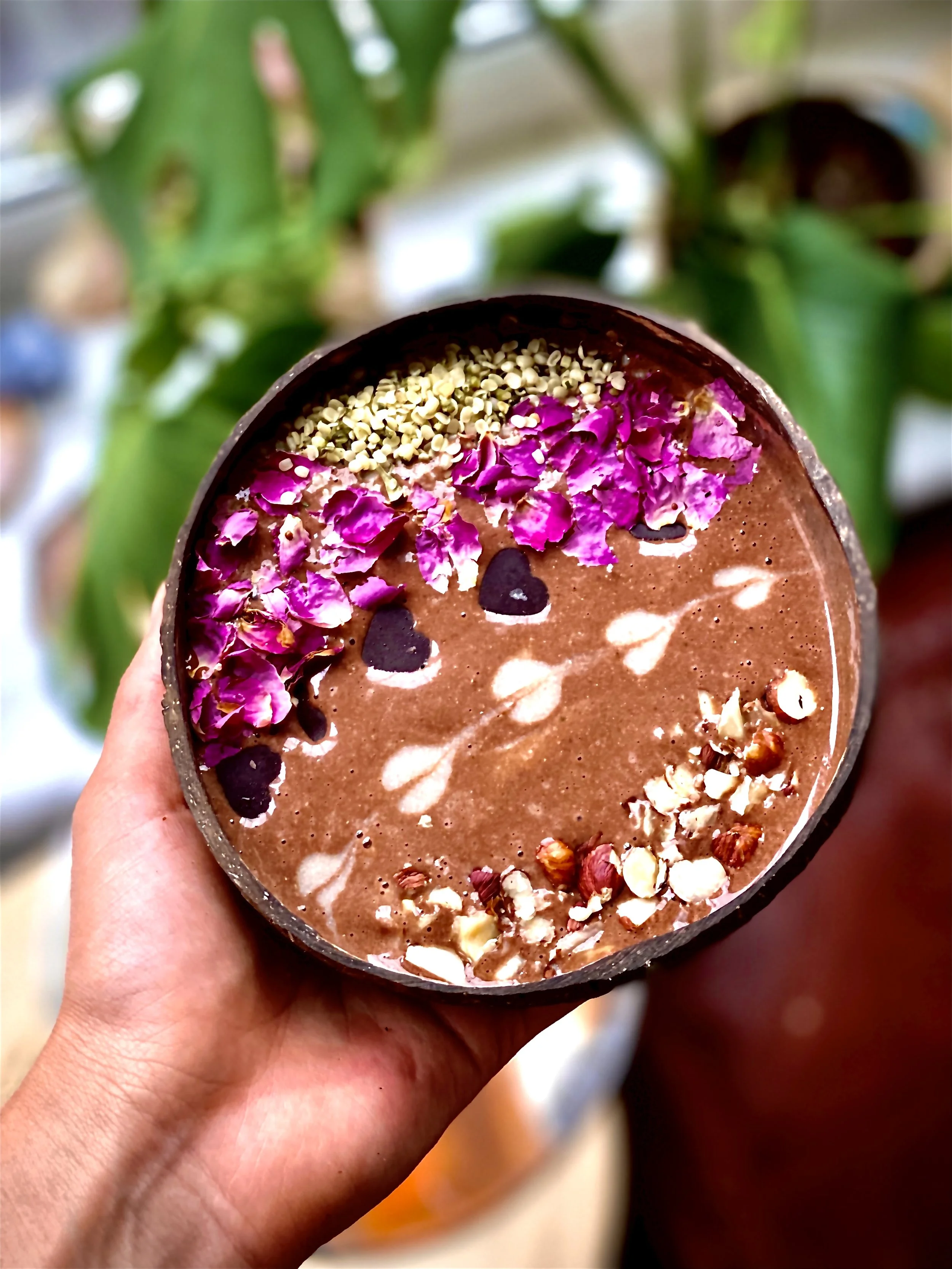 A hand holds a bowl of chocolate mousse garnished with pink rose petals, chopped nuts, white decorative cream dots, and tiny dark chocolate chips, with a background of green plant leaves.