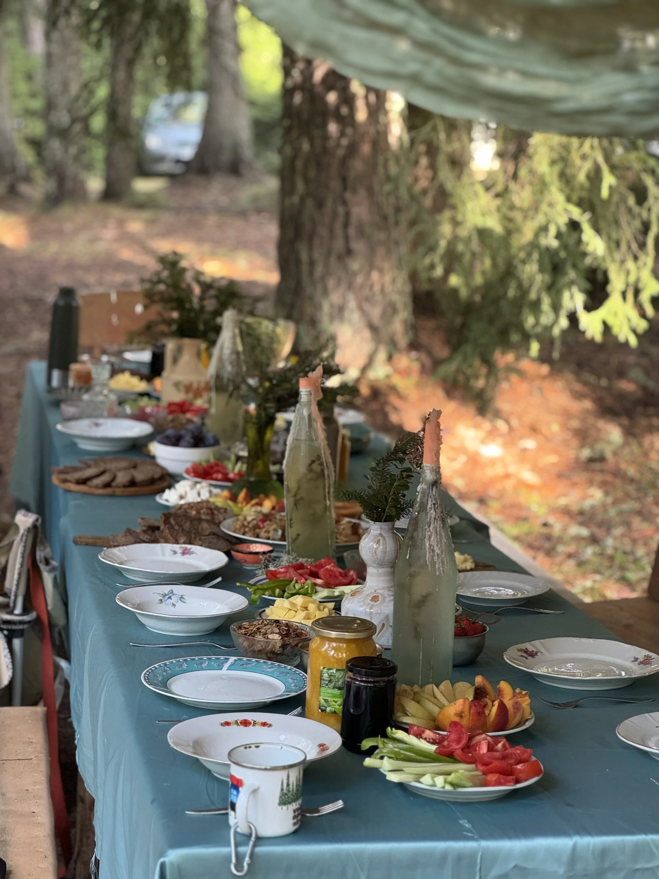 Outdoor table set with food and drinks in a wooded area with trees and sunlight in the background.