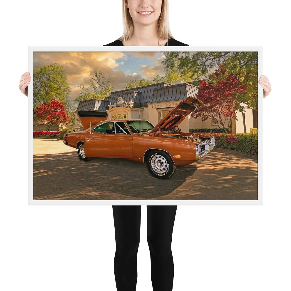 Framed photo paper poster