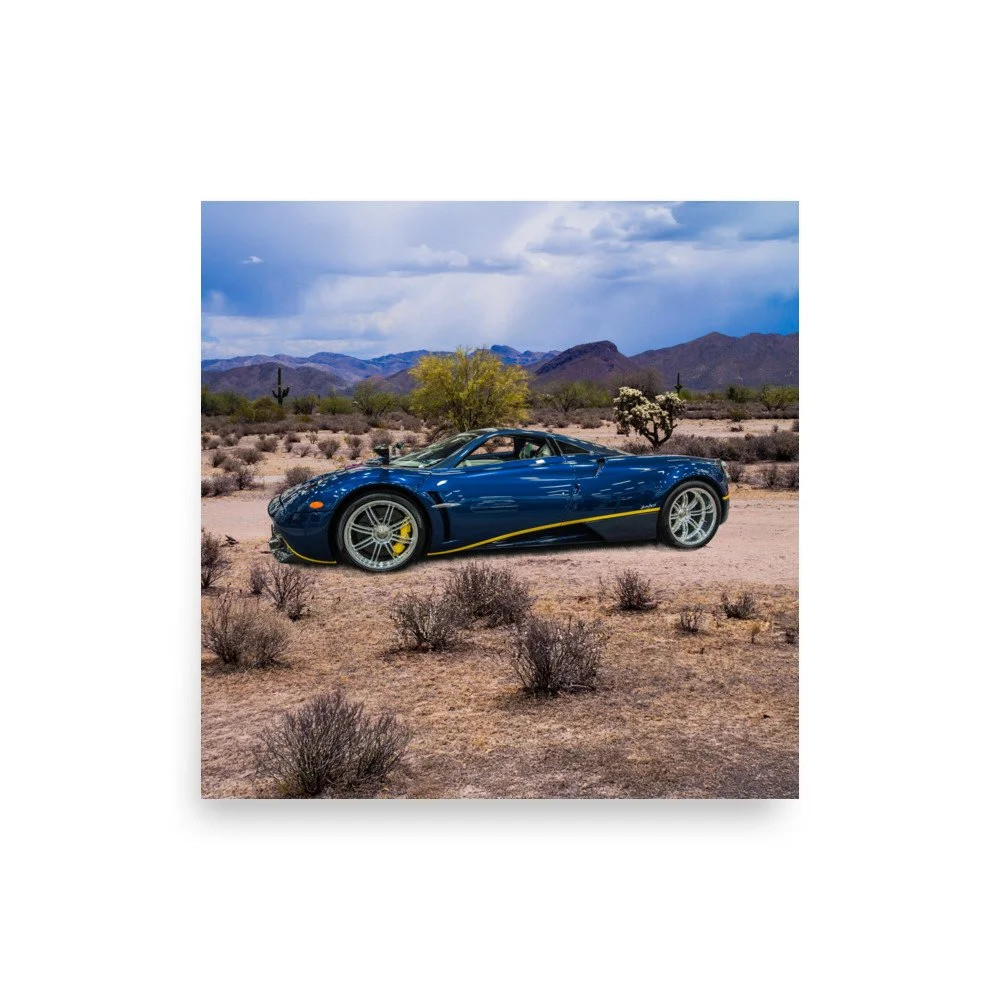 premium-luster-photo-paper-poster-(in)-10x10-front-6a5e69a8b2d0d.jpg