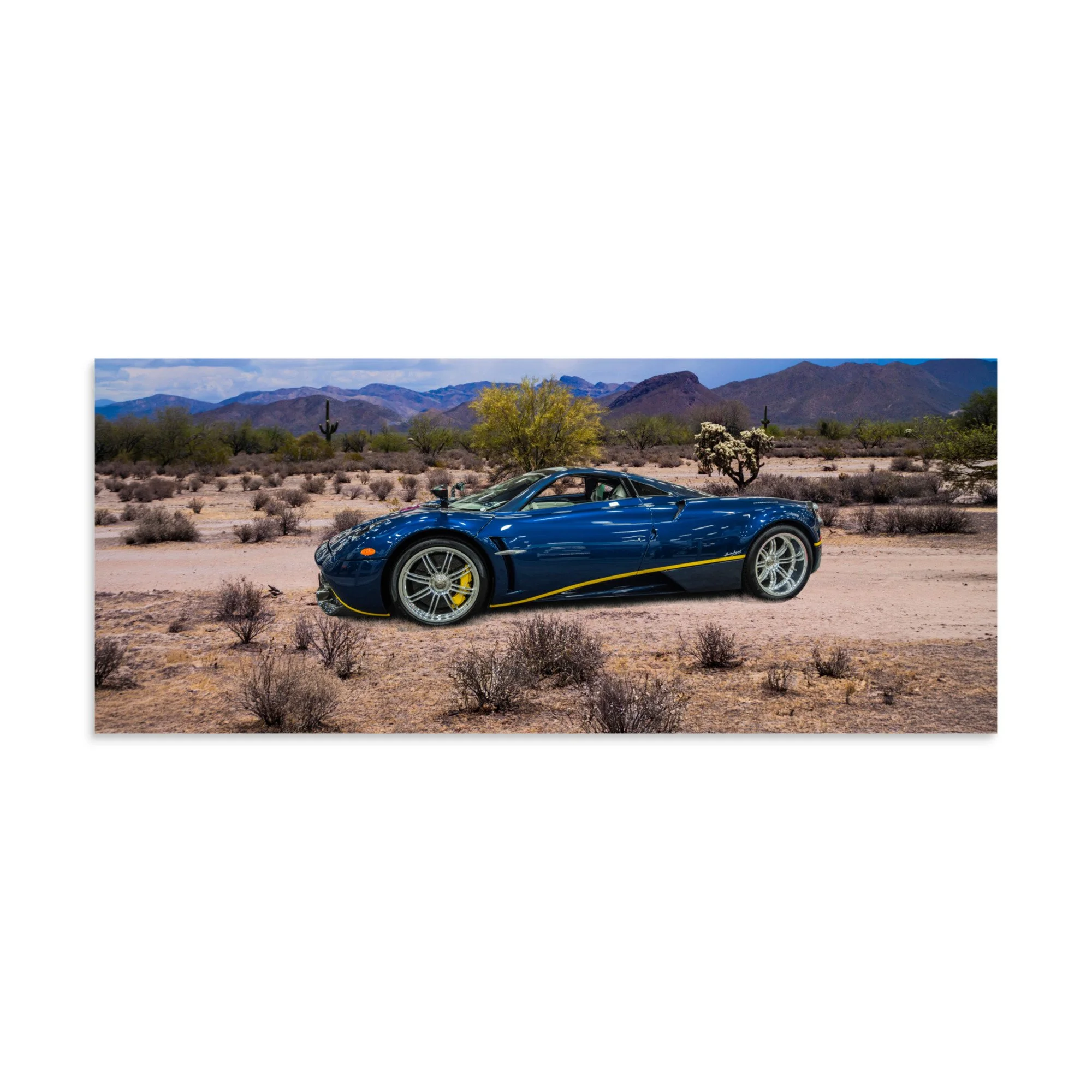 premium-luster-photo-paper-poster-(in)-10x24-front-6a5e69a8cd61f.jpg
