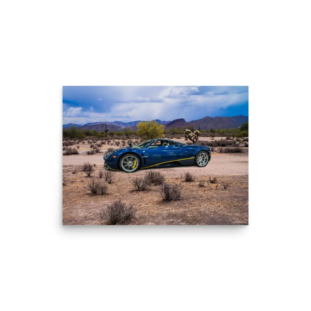 premium-luster-photo-paper-poster-(in)-12x16-front-6a5e69a8b4615.jpg