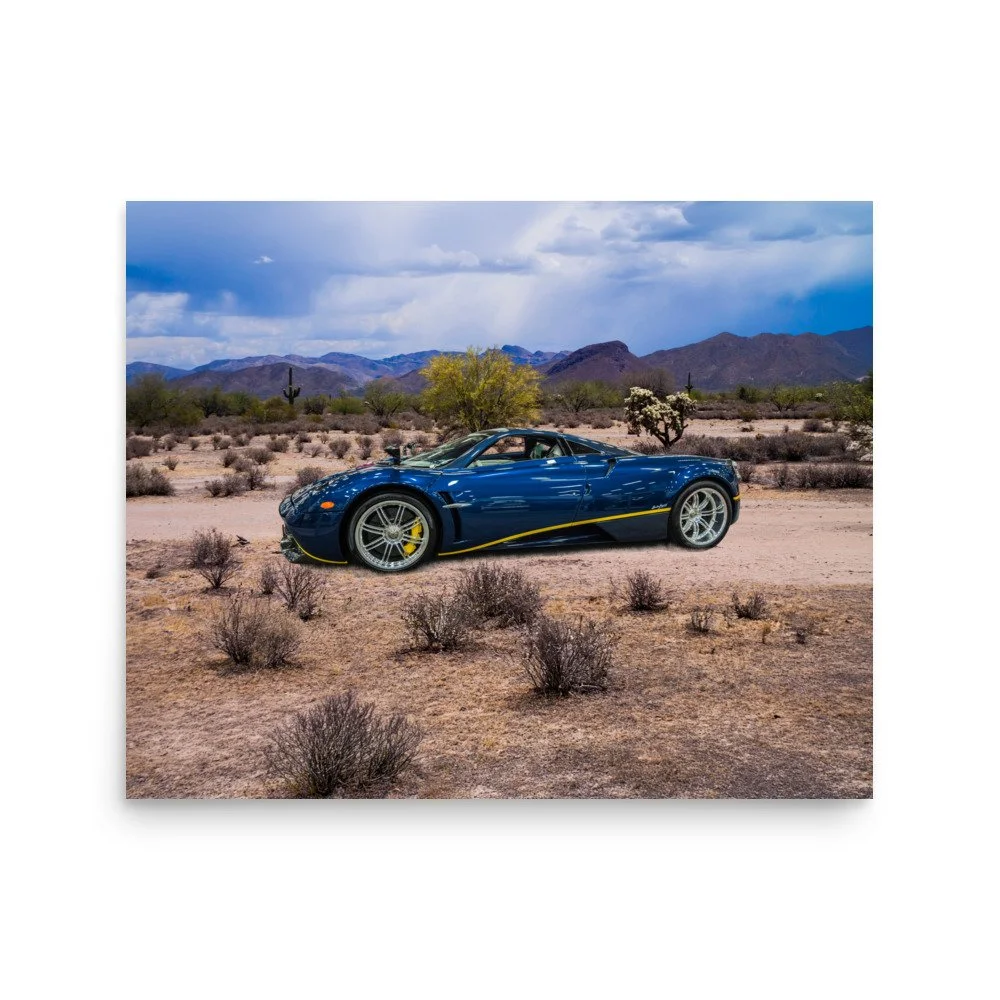 premium-luster-photo-paper-poster-(in)-16x20-front-6a5e69a8b76c9.jpg