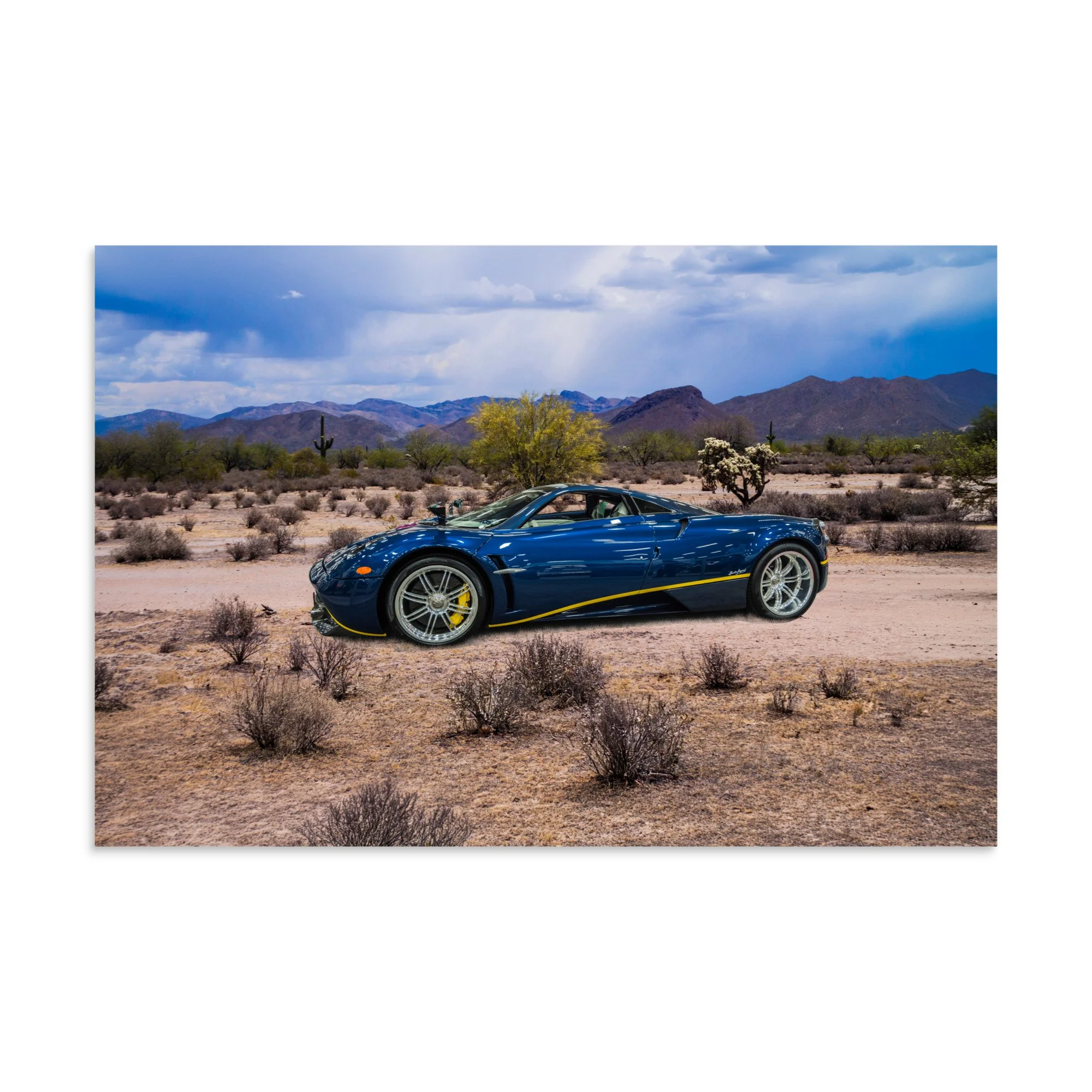 premium-luster-photo-paper-poster-(in)-16x24-front-6a5e69a8cbe8b.jpg