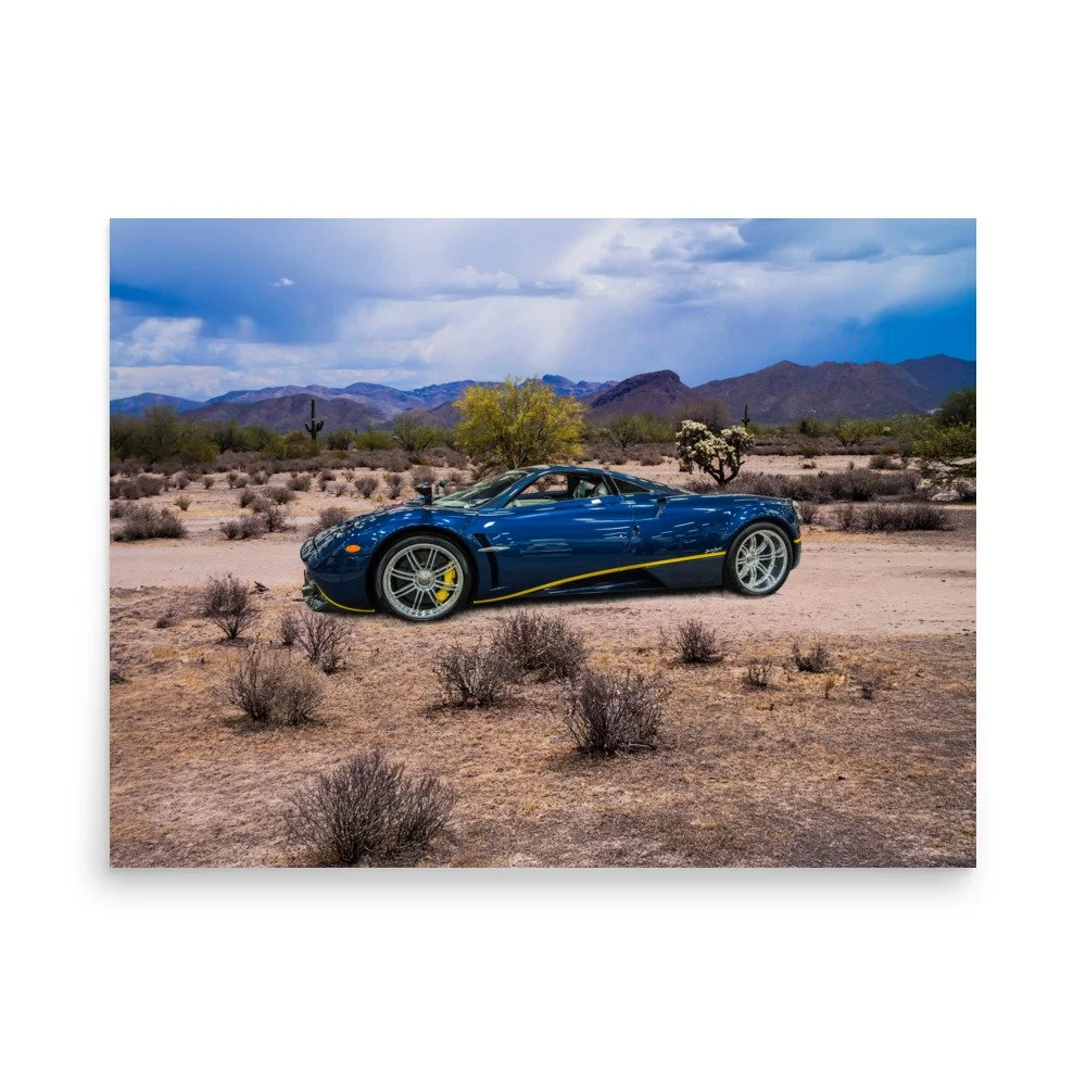 premium-luster-photo-paper-poster-(in)-18x24-front-6a5e69a8b8e44.jpg