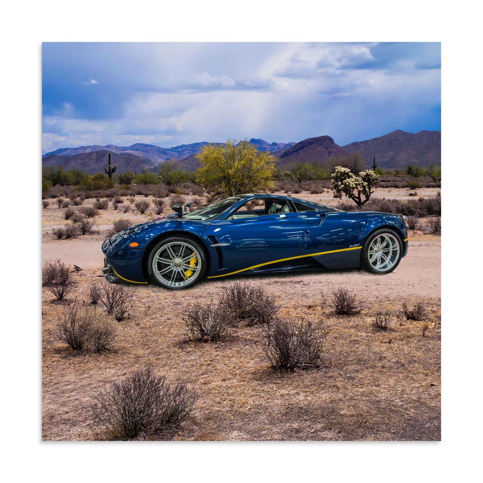 premium-luster-photo-paper-poster-(in)-20x20-front-6a5e69a8d1e01.jpg